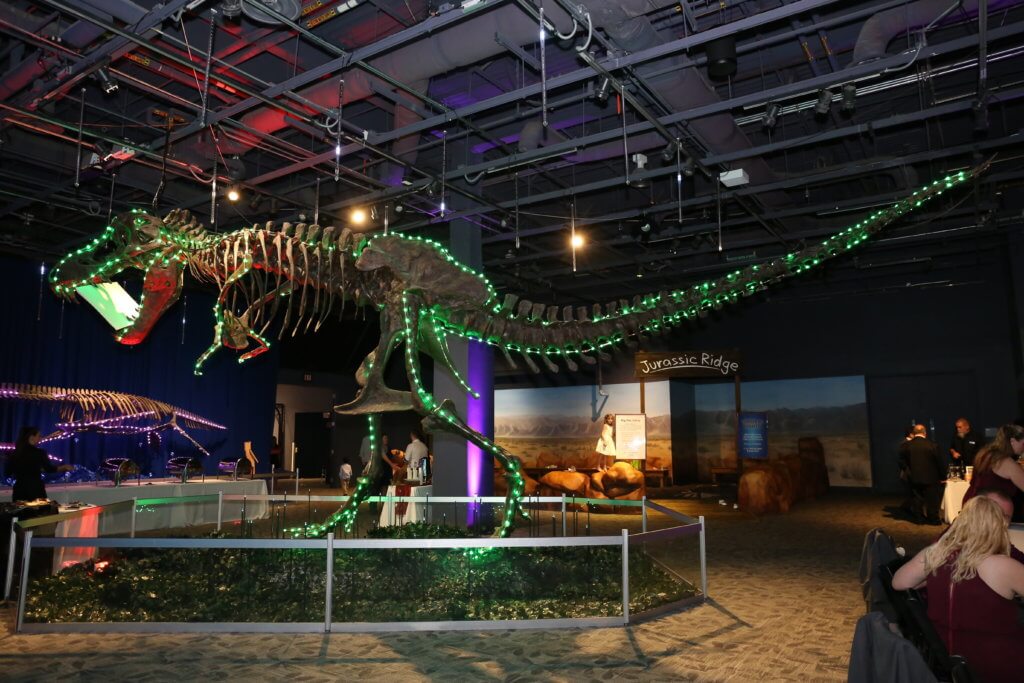 Dinosaur at Orlando Science Center